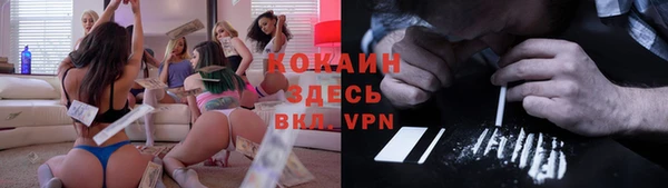 mix Бородино