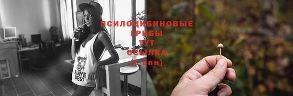 гашик Верхний Тагил