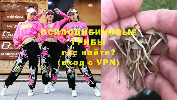 mix Бородино