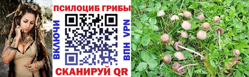 Галлюциногенные грибы ЛСД  Купить закладки  Сычёвка 